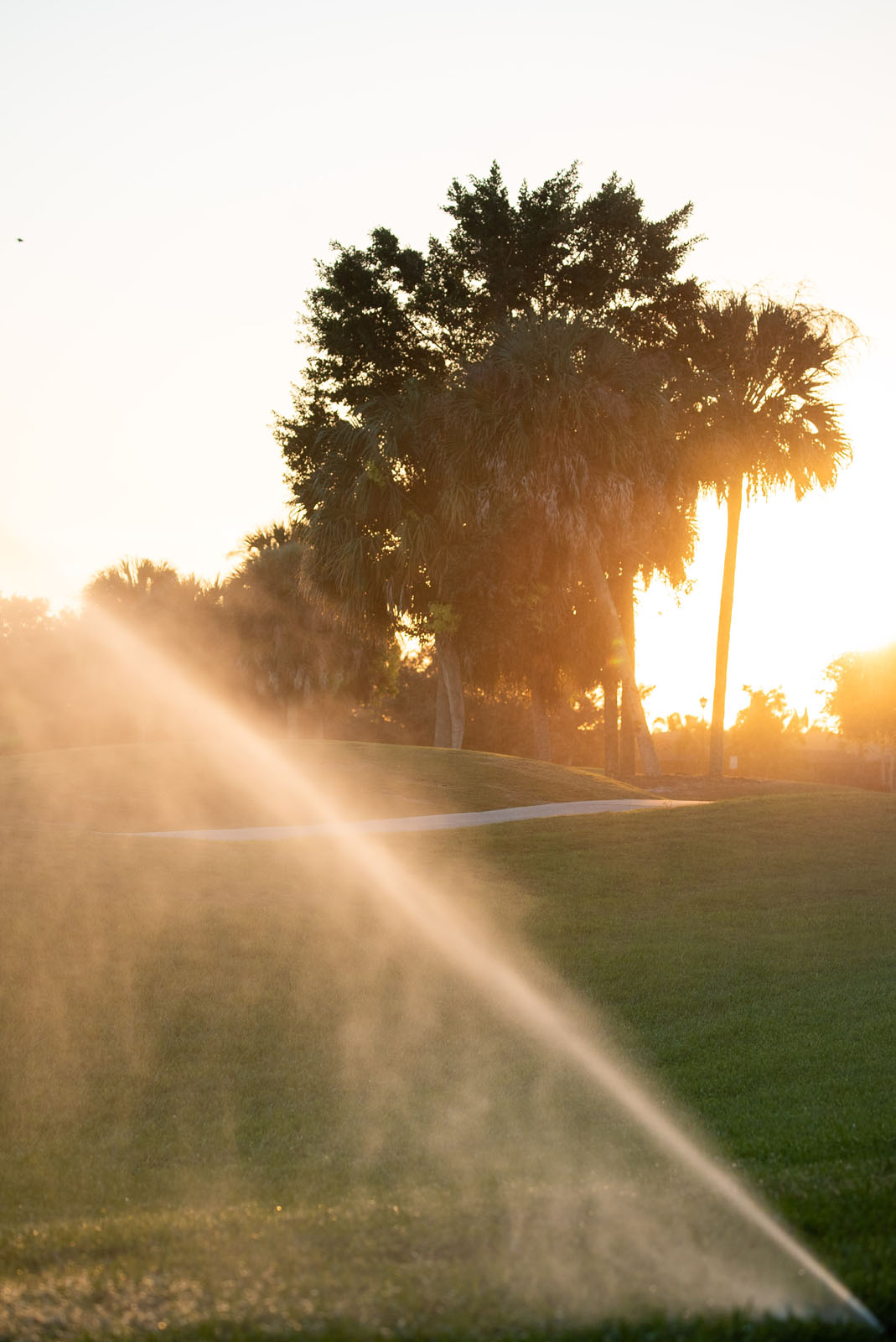 Golf Course Designer